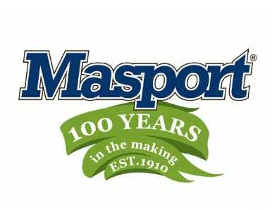 Masport lawn mowers