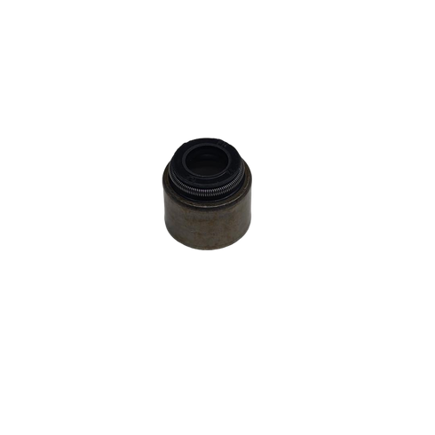 SEAL-VALVE