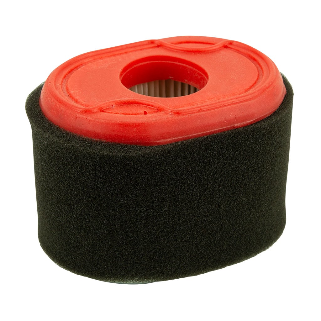Briggs & Stratton Cartridge Air Filter And Foam Wrap Pre-Filter Non-Genuine