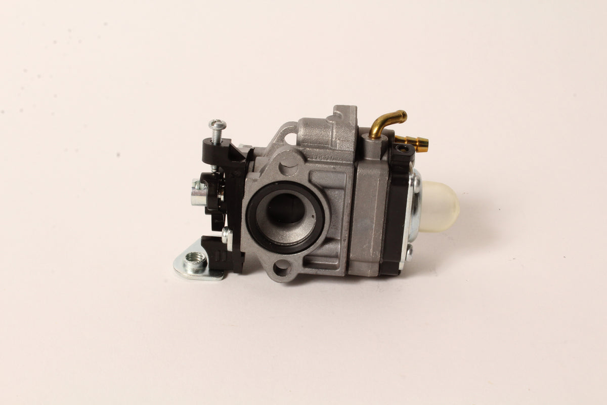 CARBURETOR, DIAPHRAGM